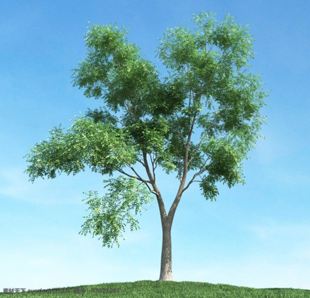 3d 树木 模型 高大植物 树木模型 3d模型 室外植物 大树 max 青色 天蓝色