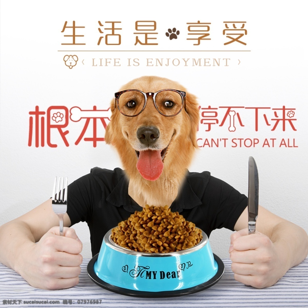 创 意图 狗 粮 钻 展 直通车 可爱 拟人 狗粮 钻展直通车 金毛