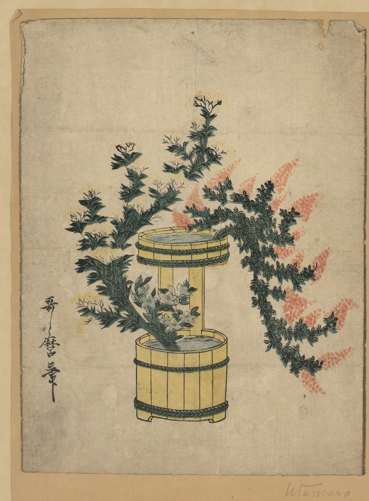 喜多 川 歌 麿 浮世绘 作品 喜多川歌麿 日本江户时代 日本浮世绘 浮世绘画 日本画 传统绘画 日本传统绘画 传统浮世绘 日本山水画 日本人物画 日本国画 大师绘画 浮世绘大师 武士图 日本武士图 浮世绘武士 仕女图 浮世绘美人图 共享 文化艺术 绘画书法