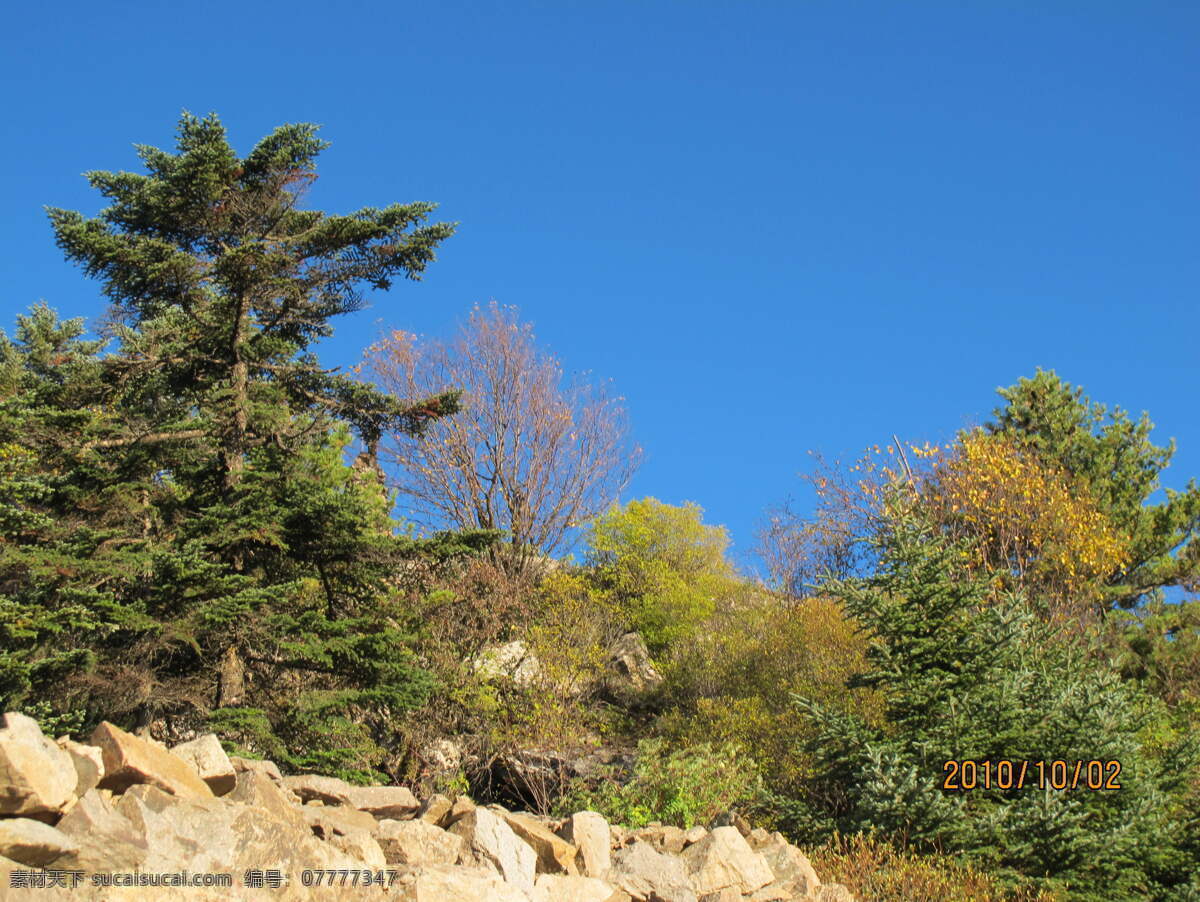 旅游景区 大树 天空 植物 自然风光 景观 景区 太白山 休闲旅游 风景名胜 风景图片