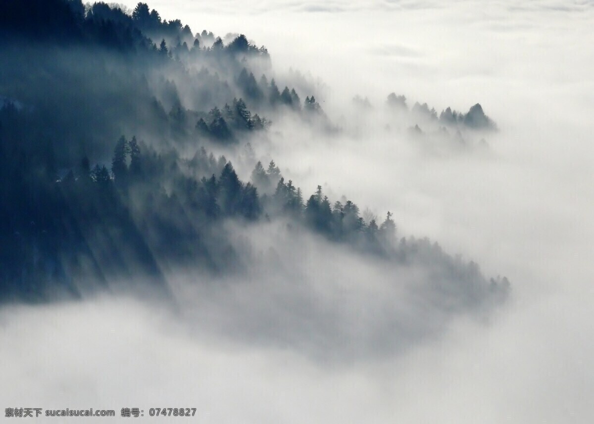 在雾里的山峰 雾 山 山峰 云 山顶 树 云海 气 自然景观 自然风景