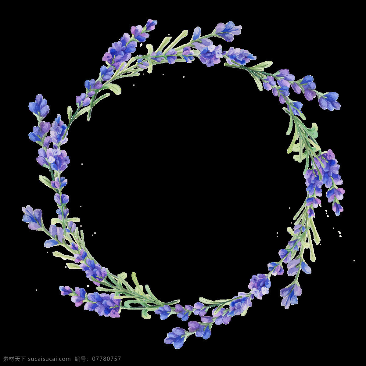 紫色 优雅 紫罗兰 卡通 水彩 透明 抠图专用 装饰 设计素材