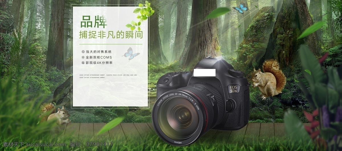 相机 数码产品 淘宝 海报 单反 森林 丛林 雨林