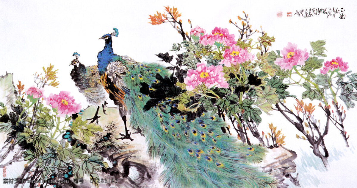 水墨画　孔雀 白孔雀- 水墨画家白浪