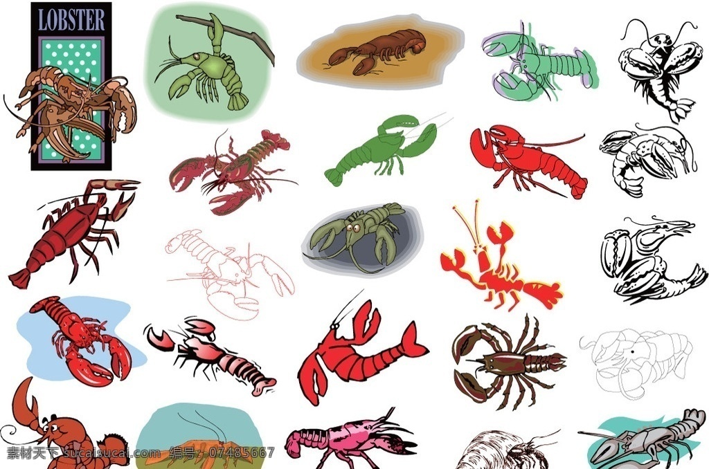 海洋虾 海洋生物 虾 生物世界 矢量