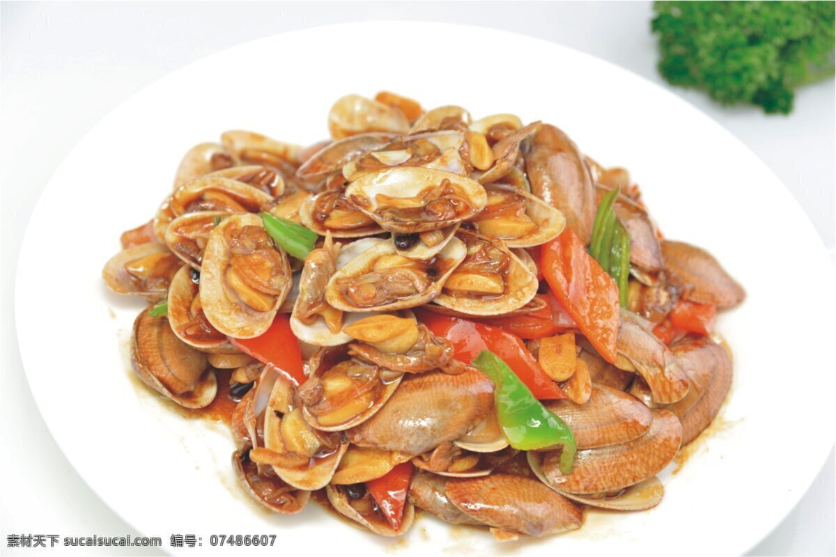 豉汁炒花甲 豆豉 花甲 蛏子 海鲜 蒜茸 餐饮美食 传统美食