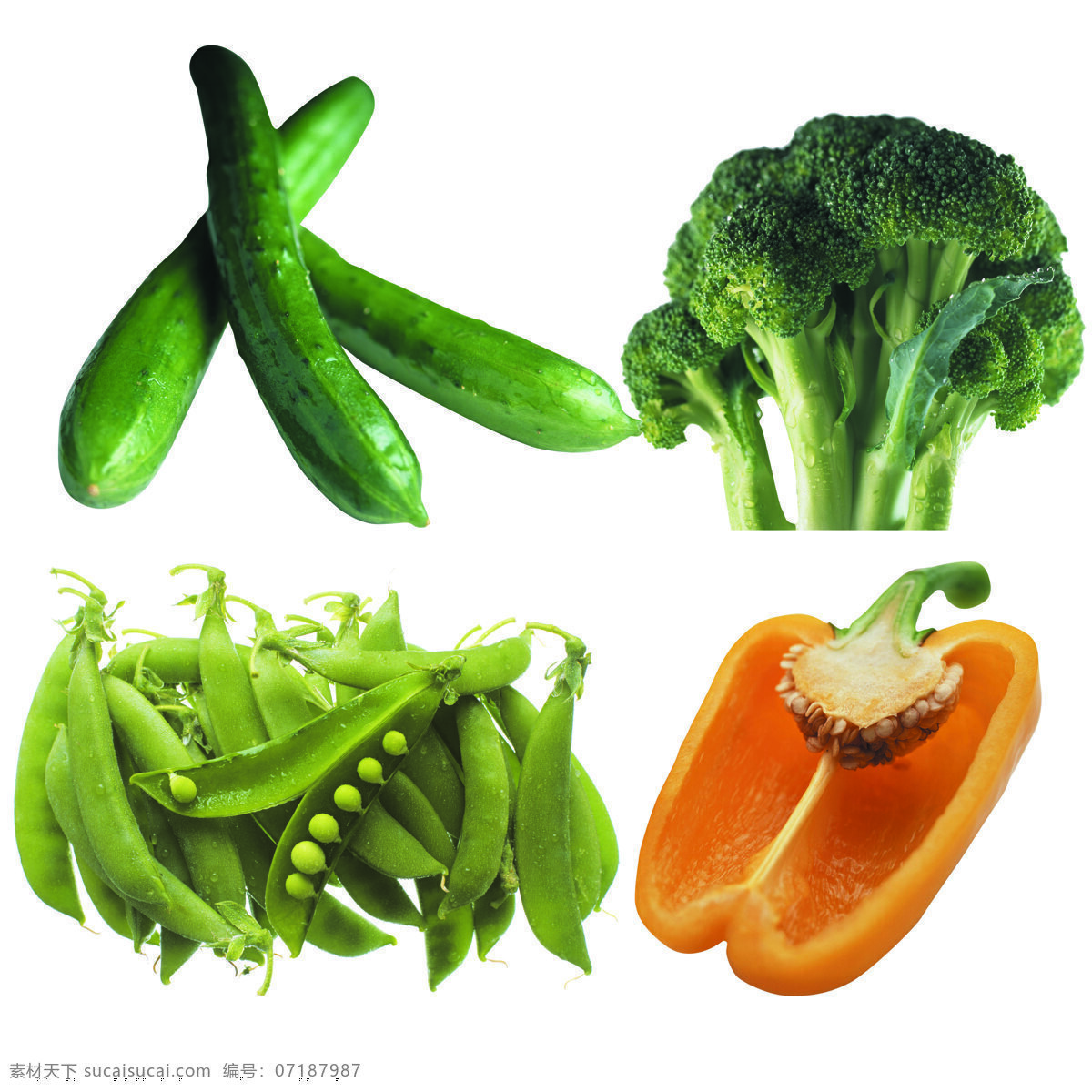 蔬菜素材 蔬菜 蔬菜展板 蔬菜海报 蔬菜文化 蔬菜挂画 蔬菜饮食 蔬菜营养 餐饮美食 传统美食
