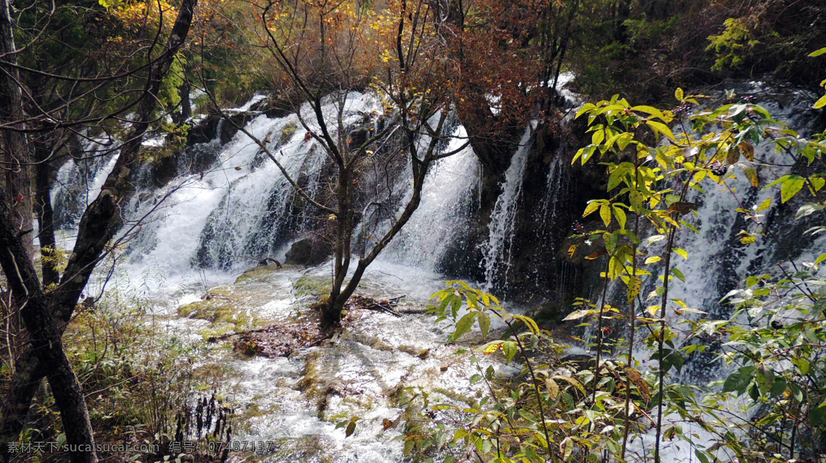 九寨沟 五花海 火花海 风景区 自然保护区 春季 四川 山水景区 仙境 喝水 湖水 清澈 摄影作品 自然景观 山水风景