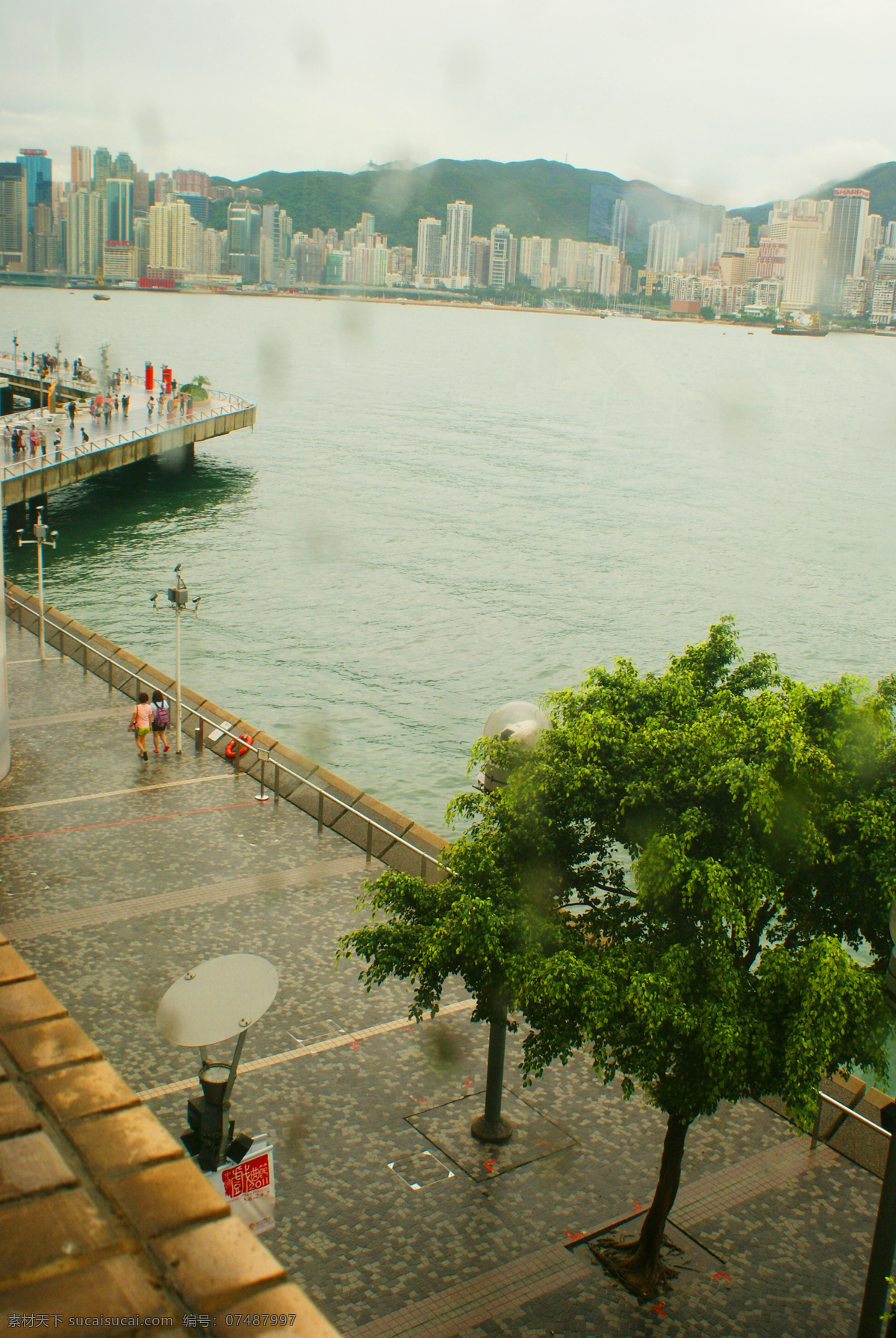 飞鹰 港湾 高楼 海港 海水 建筑景观 轮船 港 景观 海港景观 香港 维多利亚港 商务大楼 游艇 客轮 灯景 树木 观海长廊 自然景观 风景 生活 旅游餐饮