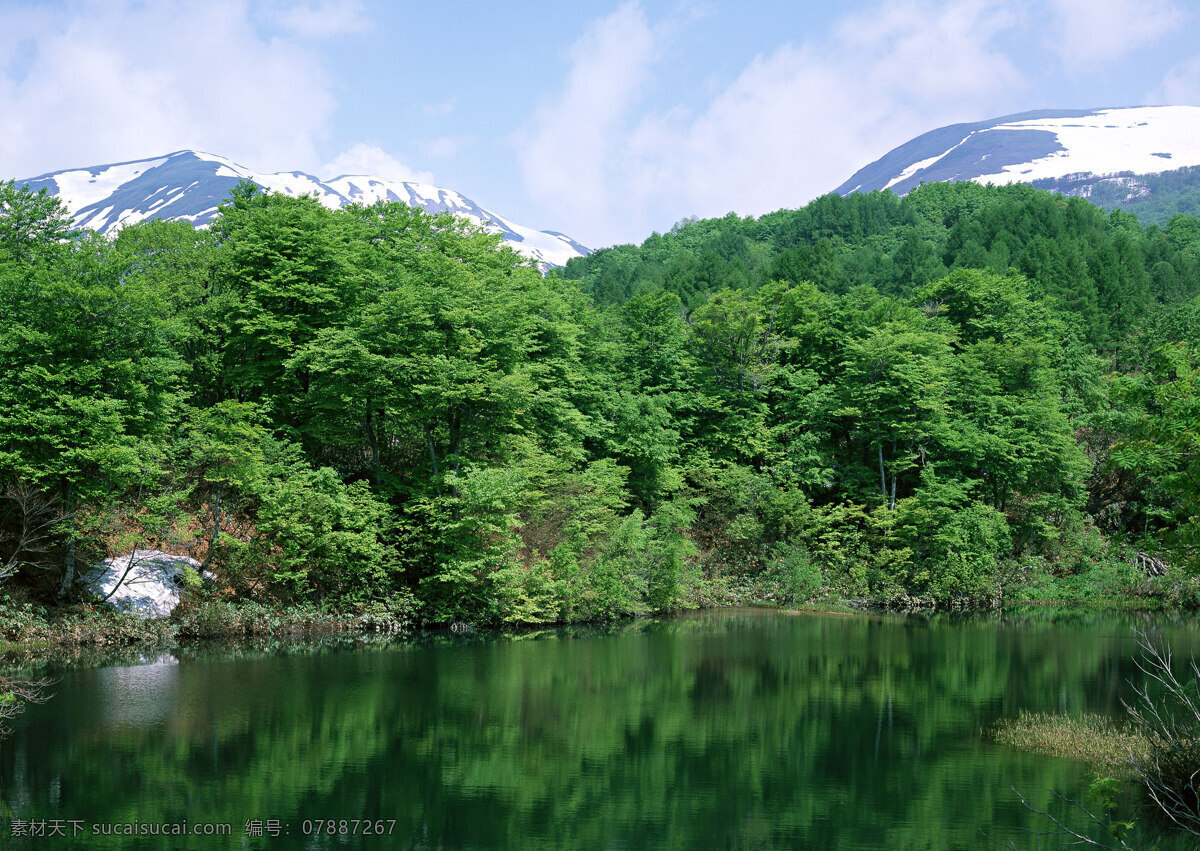 雪山 树木 湖泊 美景 美丽风景 自然风景 风景摄影 大自然 景色 山水风景 树林 倒影 湖水 湖面 风景图片