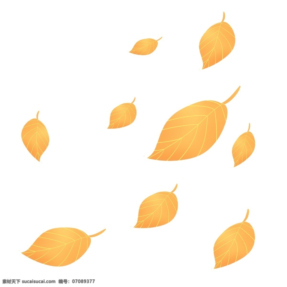 金色 秋天 飘零 落叶 秋季 金秋 树叶 叶子 黄色 金色叶子 黄色叶子 飘落 零落