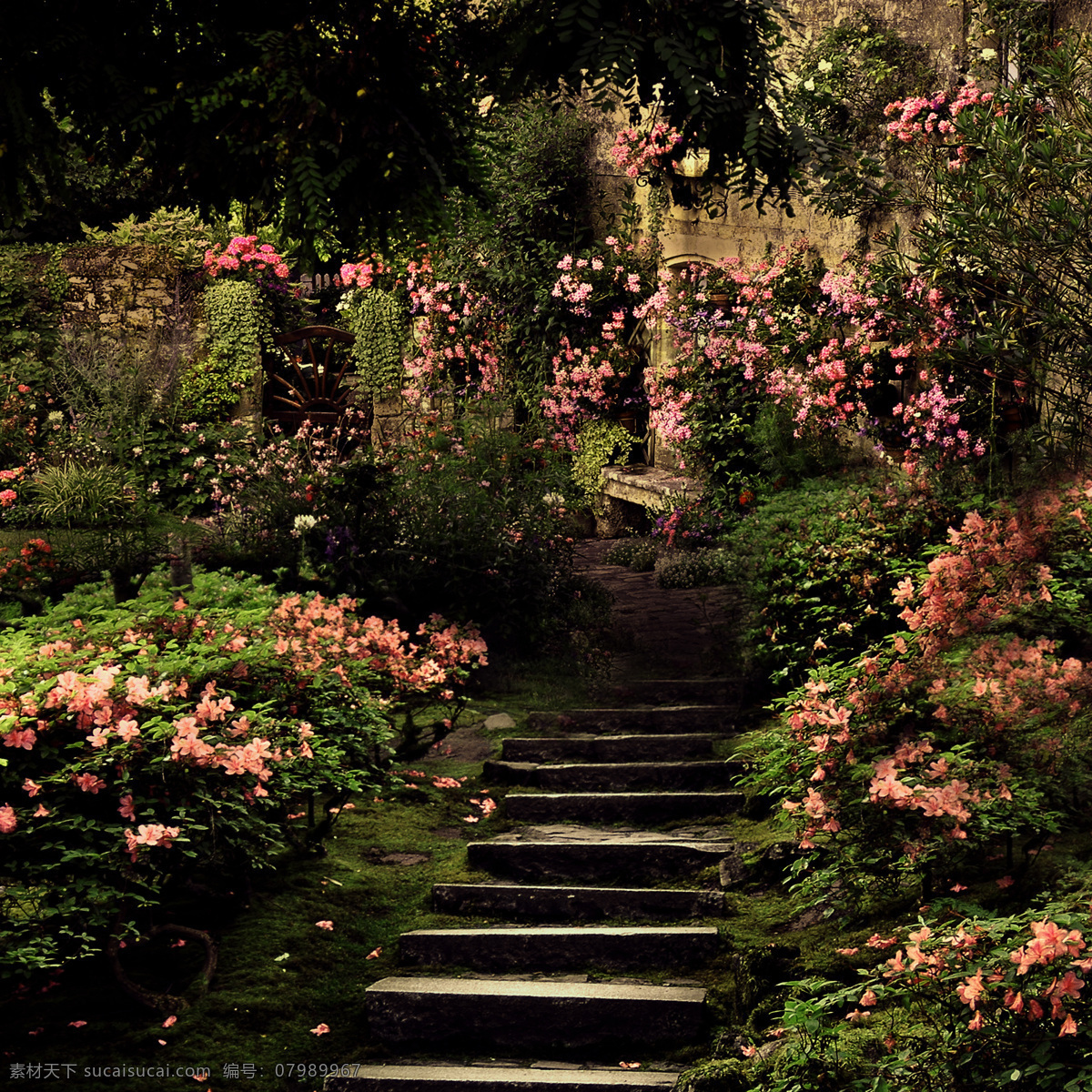 秘密花园 花园 阶梯 花朵 粉色 浪漫花园 梦境 花丛 美景 浪漫 童话 森林 自然风光 自然景观