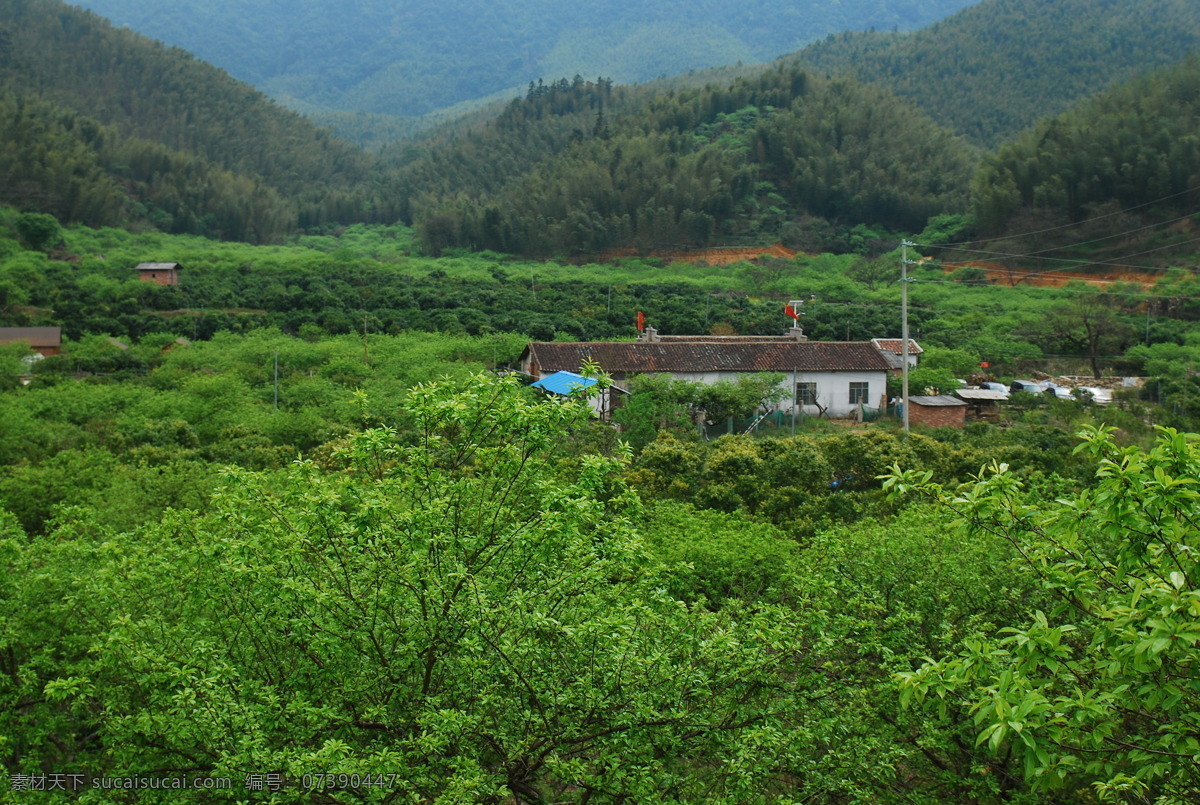 从化溪头村 乡村 风景 山 绿树 山涧小屋 青翠 自然景观 田园风光