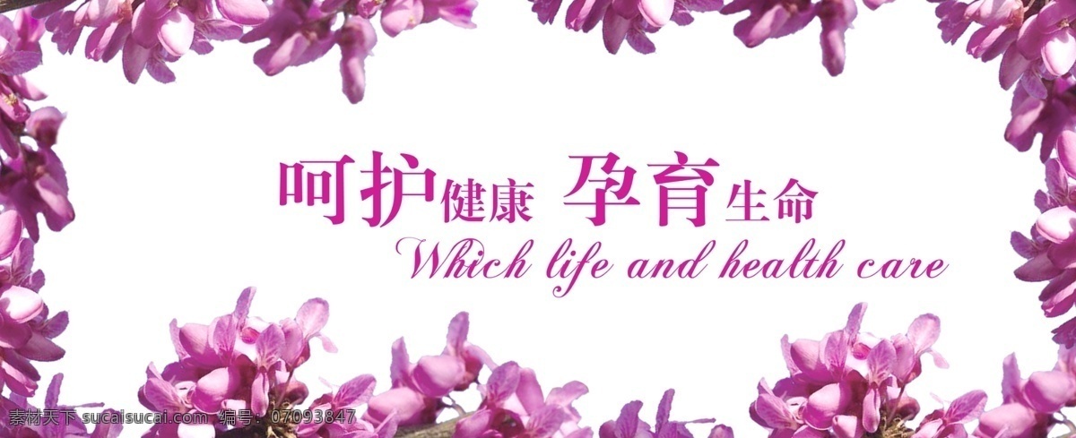 白底 广告设计模板 呵护健康 清新 医院 医院展板 源文件 展板模板 紫荆花 孕育生命 温馨的 紫色 矢量 psd源文件