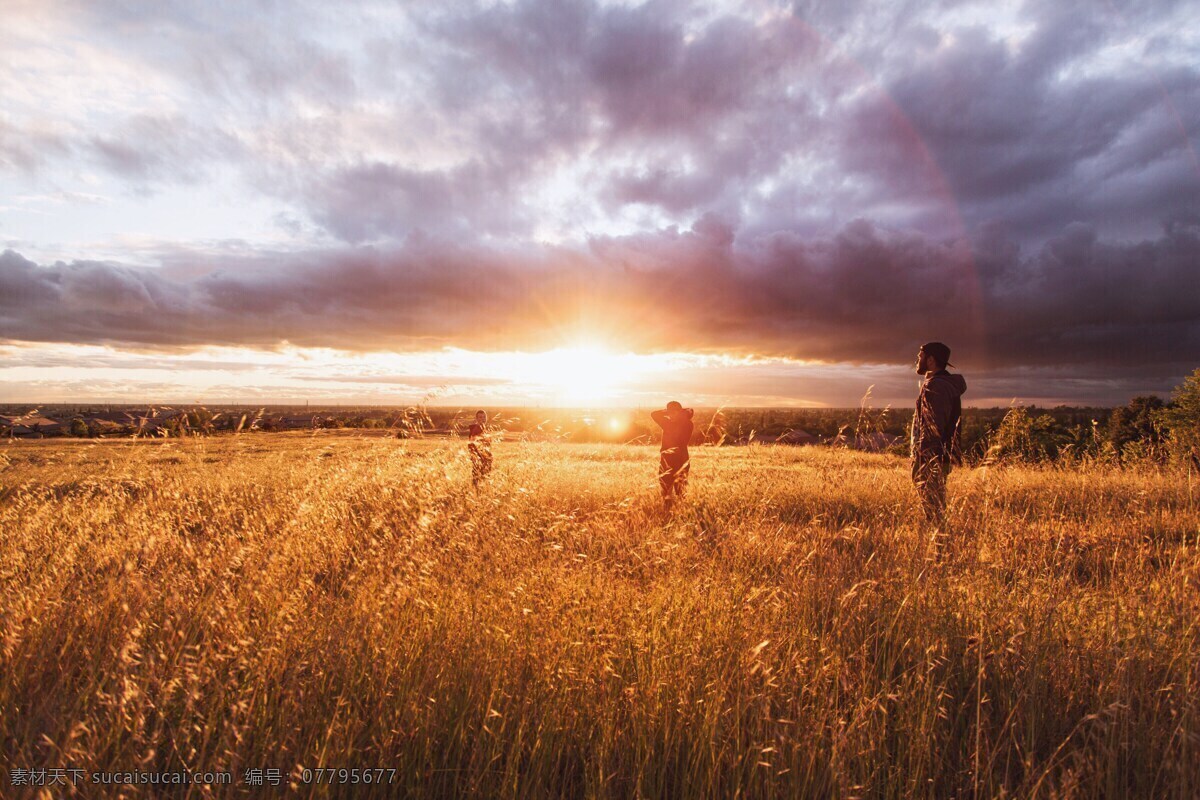 日落夕阳欢乐 日落 夕阳 草原 欢乐 高清 宁静 海 黄昏 日出