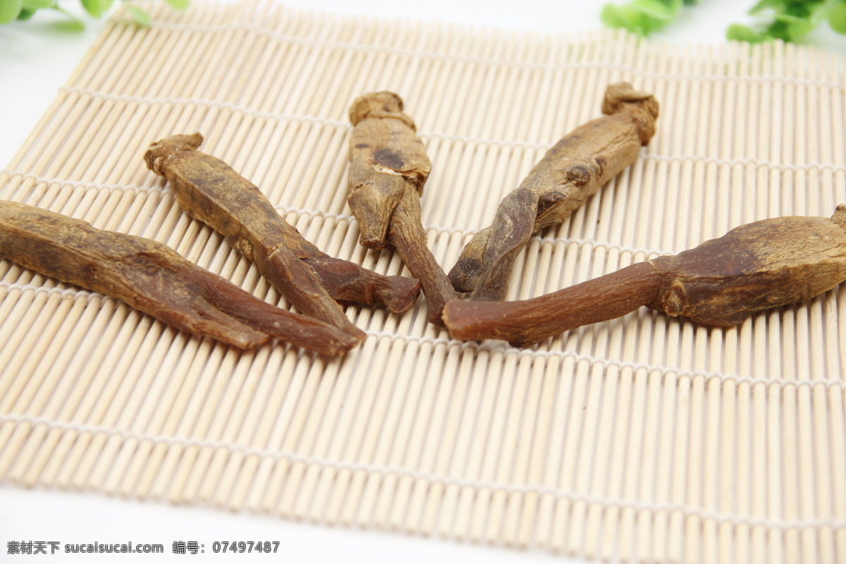 高丽参拍摄素材图片下载-素材编号07497487-素材天下图库