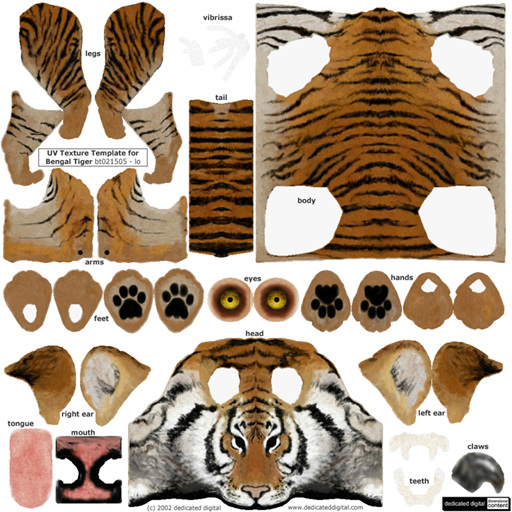 含贴图 写实风格 森林之王老虎 tiger 老虎 动物模型 陆生动物 3d模型素材 动植物模型