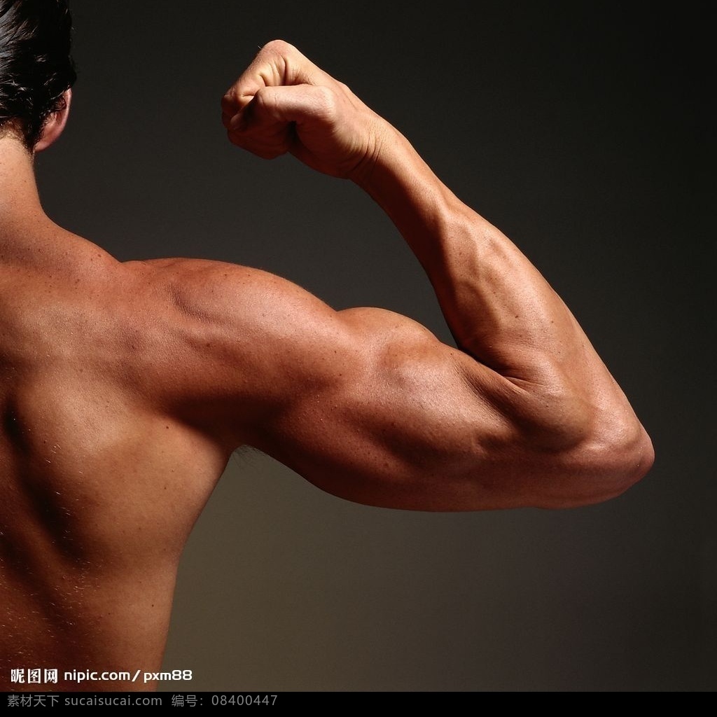 强壮男人手臂 男人 手臂 特写 强壮男人 人物特写 健身 发达的肌肉 人物图库 男性男人 摄影图库