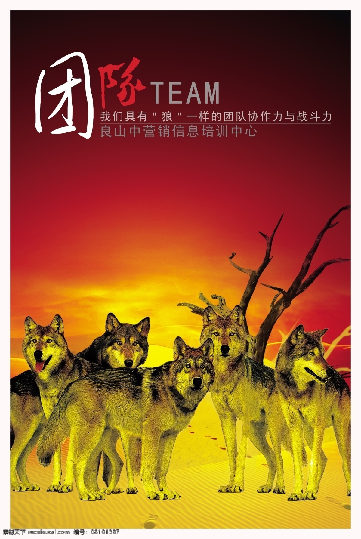 团队企业文化 kt板素材 公司文化 海报 会议背景 企业 企业画册 企业文化 企业制度 易拉宝 红色