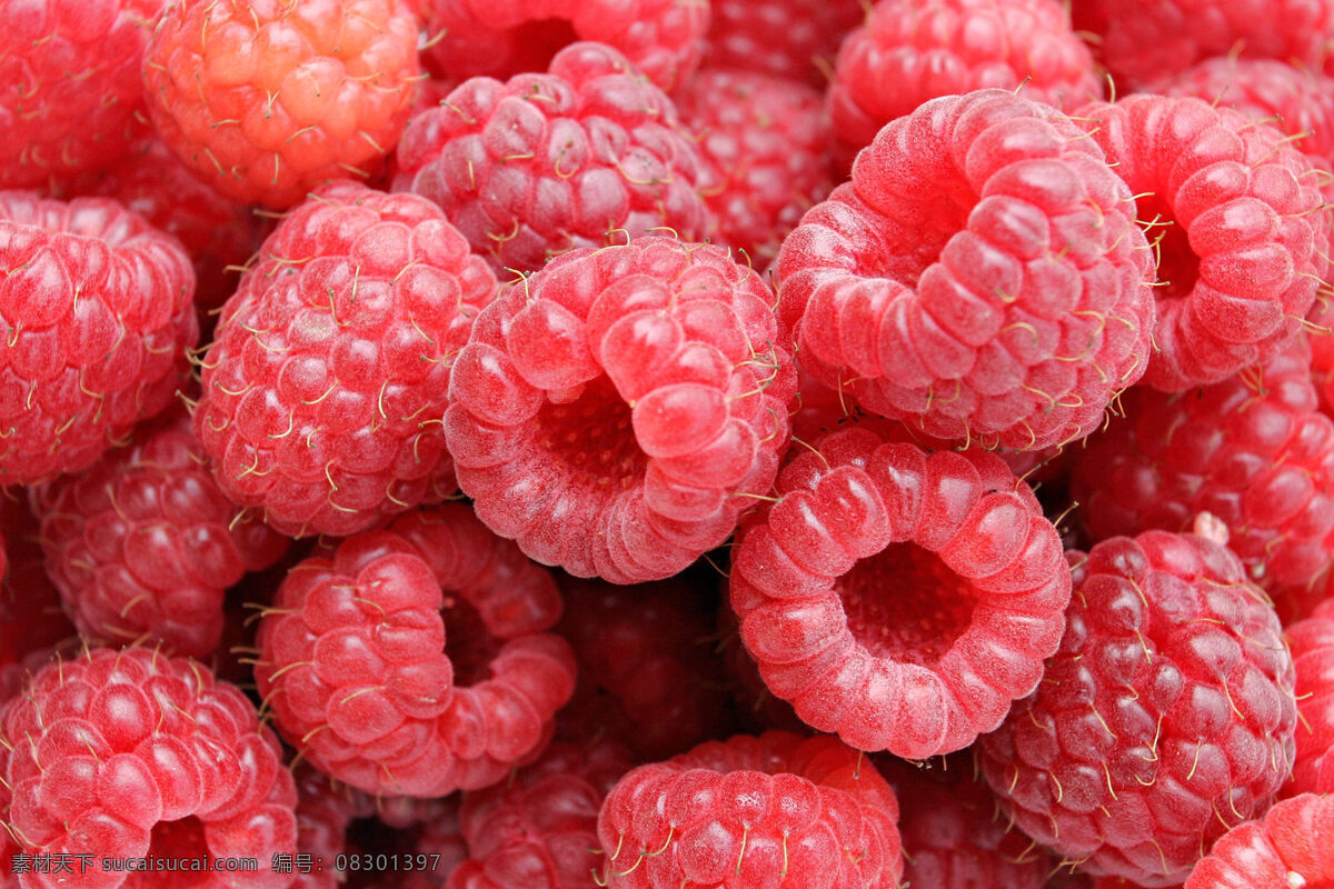 红莓 果实 木莓 马林 插秧泡 红树莓 水果 生物世界