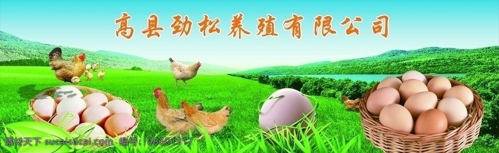 鸡蛋 天空 土鸡蛋 土鸡 竹篮 母鸡 小鸡 小草 绿地 丘陵 矢量