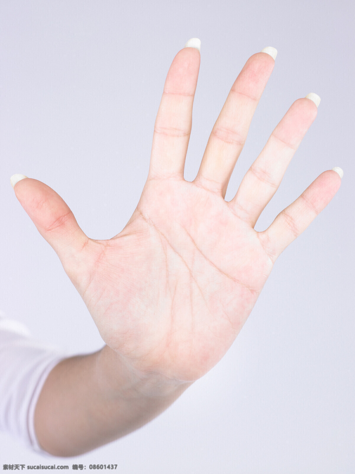 伸出 五指 手掌 手 手势 手指 人体器官图 人物图片