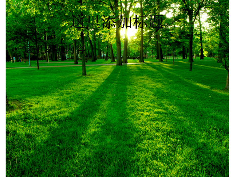 草坪 树林 晨光 绿色 风景 自然风景 模板 范文