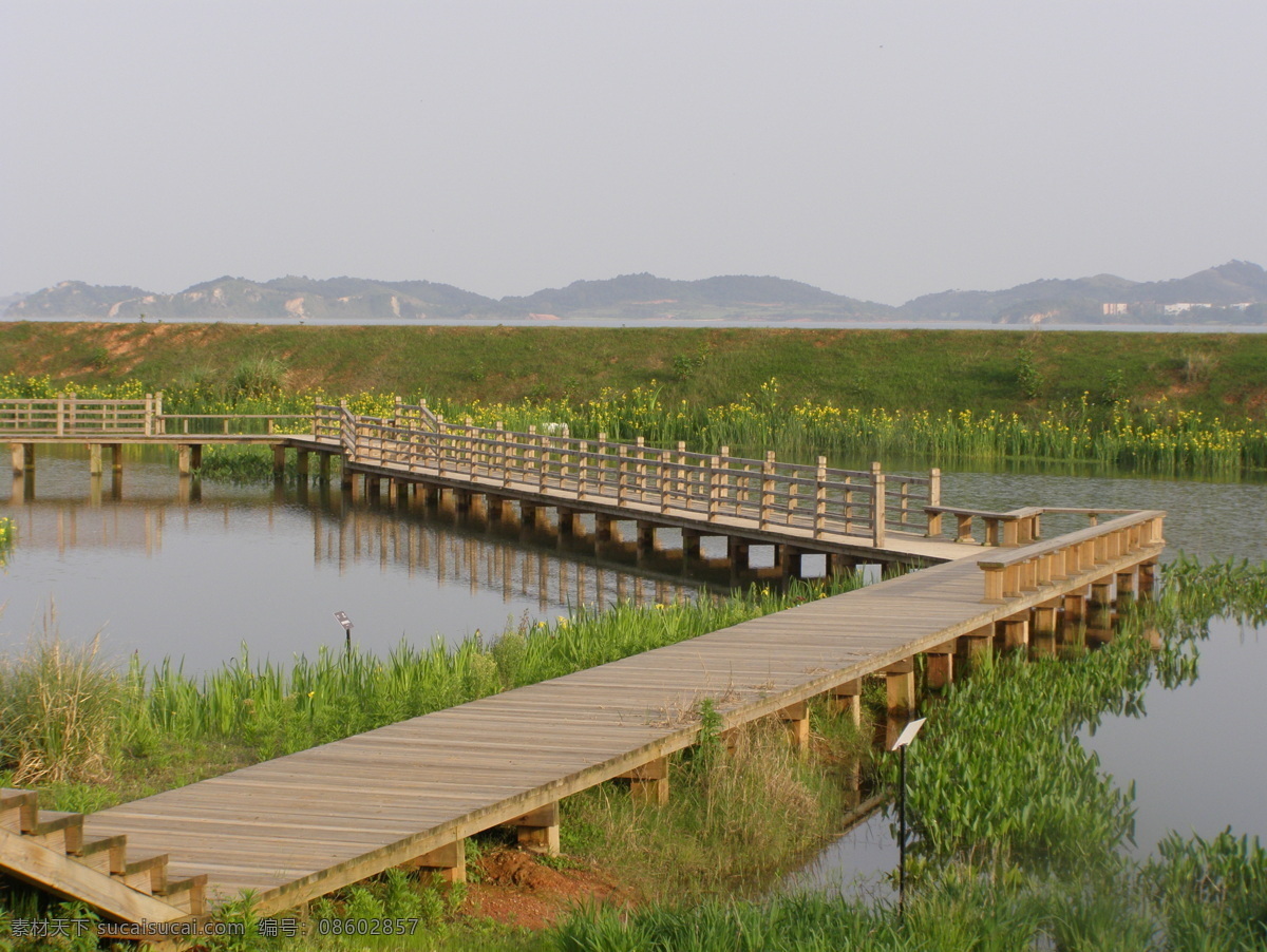 水面木栈道 栈道 木材 水面通道 园林建筑 建筑园林