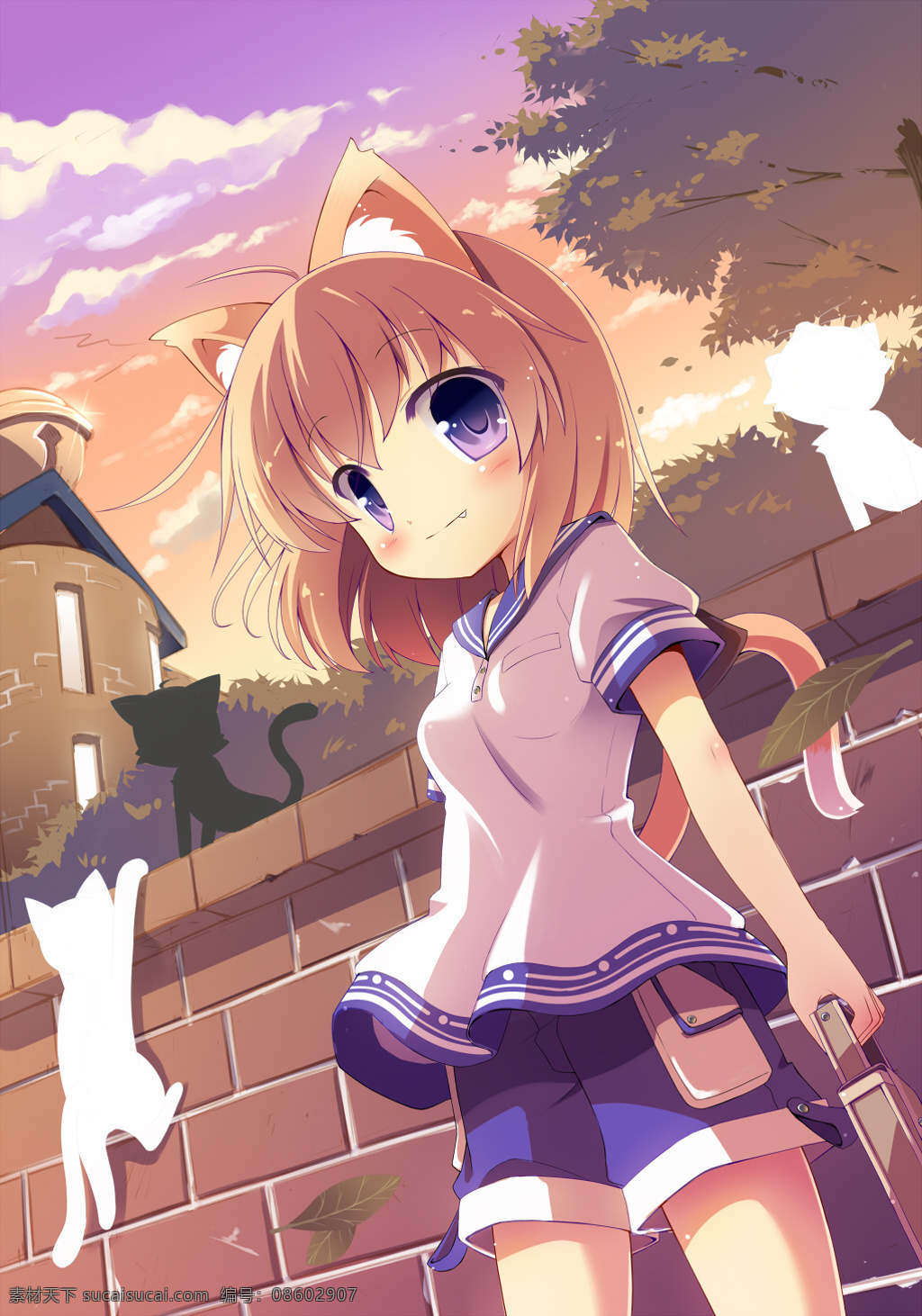 动漫女孩 动漫 女孩 猫女 可爱 温馨 短头发 制服 萌 猫耳朵 小猫 动漫人物 动漫动画
