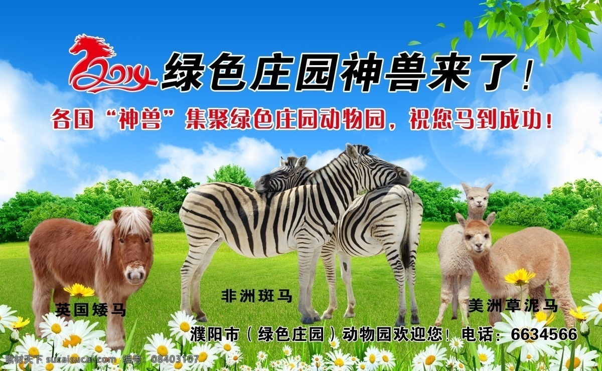 动物园 2014 斑马 英国矮马 草泥马 神兽 广告设计模板 源文件