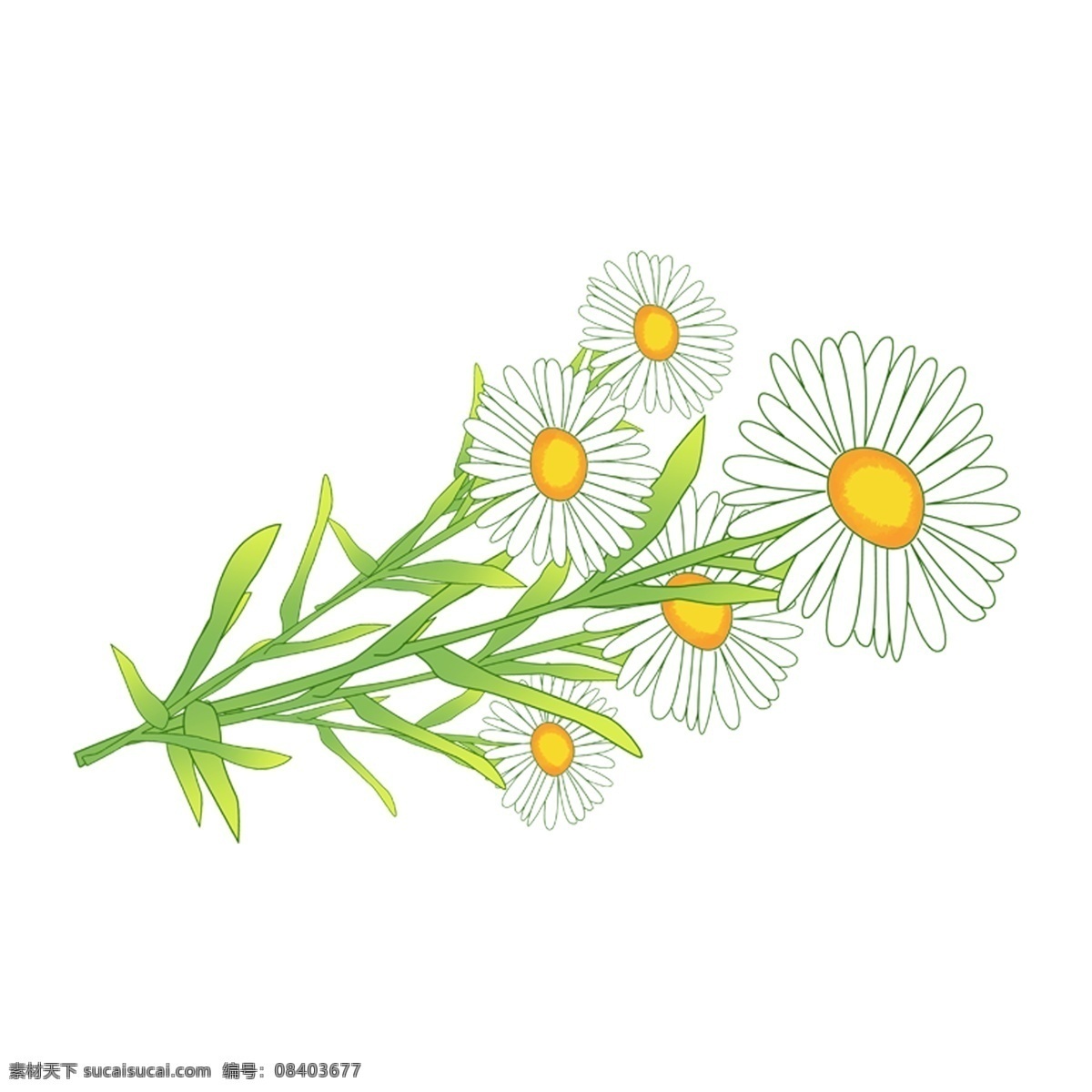 手绘 水彩 花卉 卡通 透明 叶子 png元素 装饰图案 免扣素材 透明素材