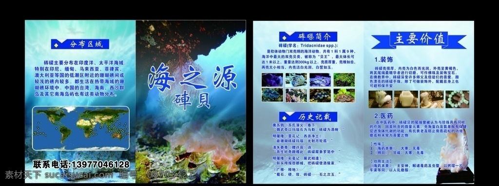 砗磲 折页 宣传单 砗磲简介 砗磲工艺品 砗磲用处