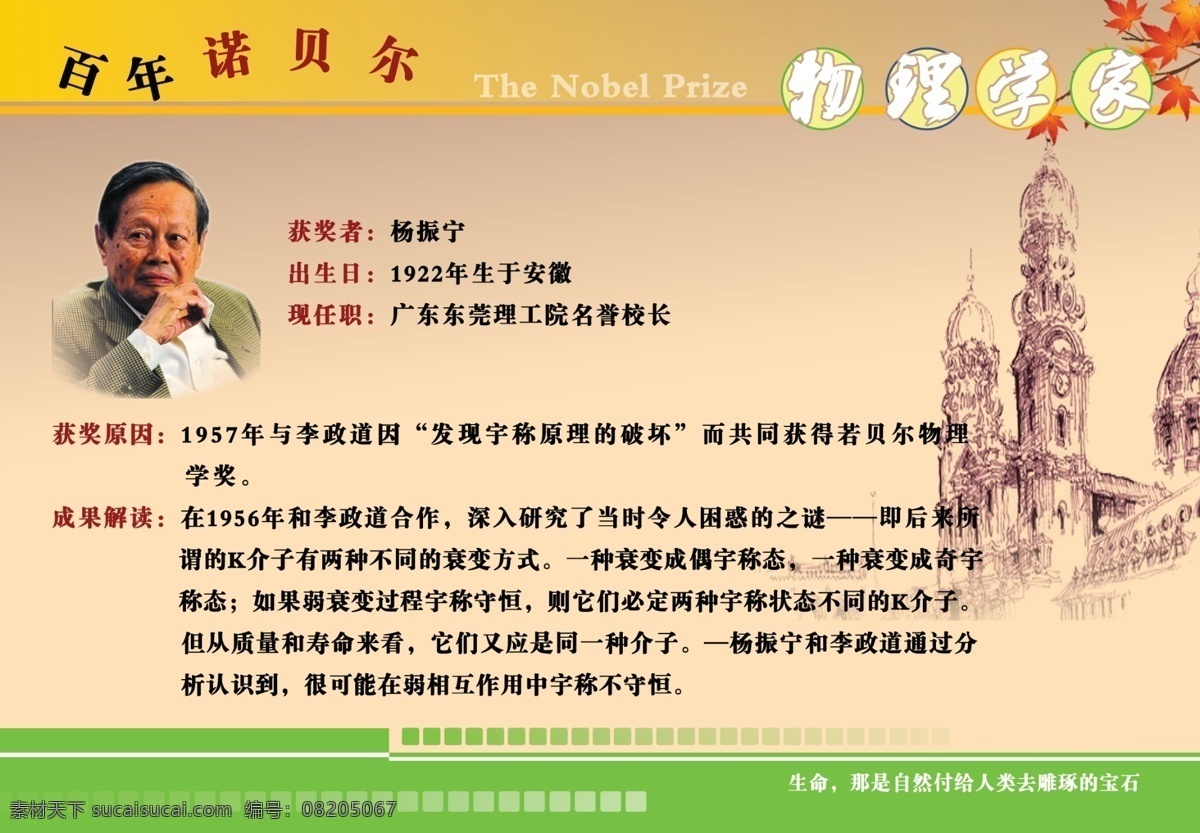 杨振宁 李政道 诺贝尔 物理学家 成果 获奖原因 诺贝尔系列 展板模板 广告设计模板 源文件