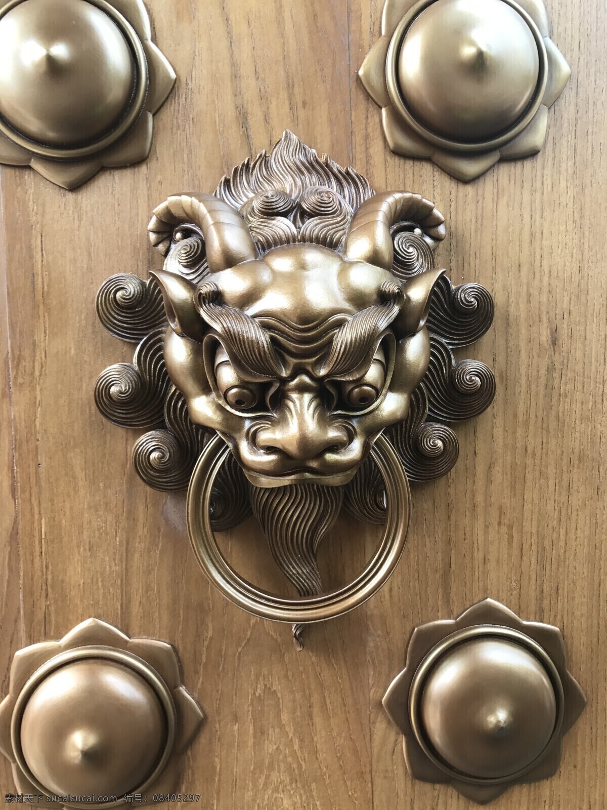铺首门环 门环 大门 门 敲门 铺首 神话 吉祥 工艺 铜环 铜 照片 文化艺术 传统文化