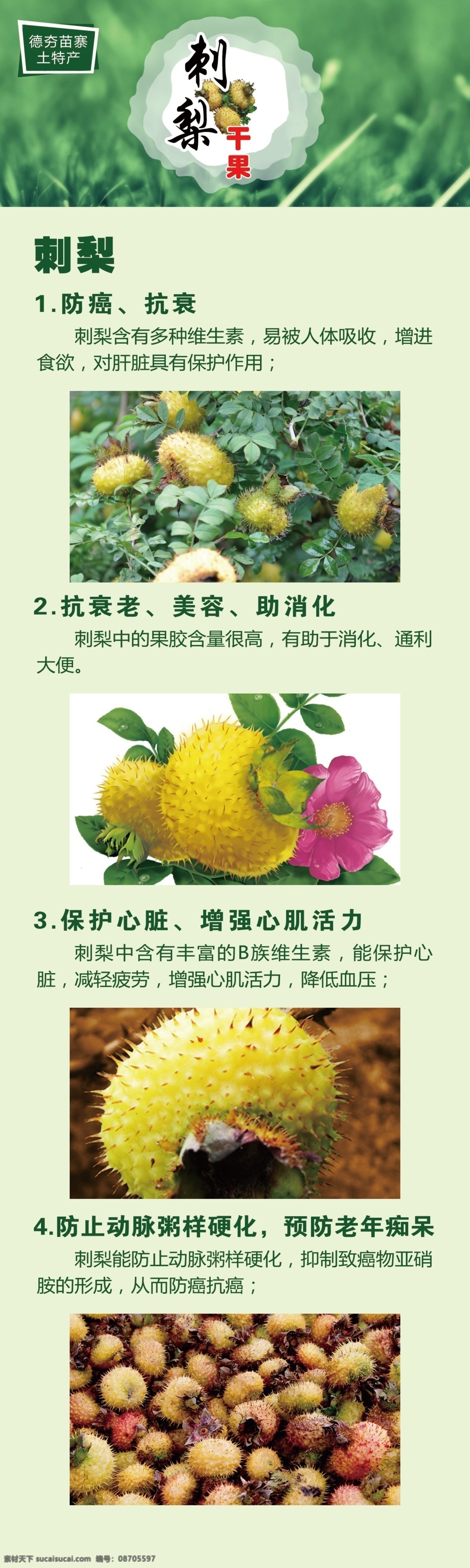 刺梨 水果 茶 绿色 环保 黑色