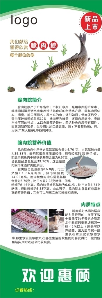 脆肉皖 脆肉鲩 脆鱼鲩 脆鱼皖 展架 绿色 清新 鱼 新品上市 饭店 餐厅 宣传 广告 简介 介绍 欢迎光临 欢迎惠顾