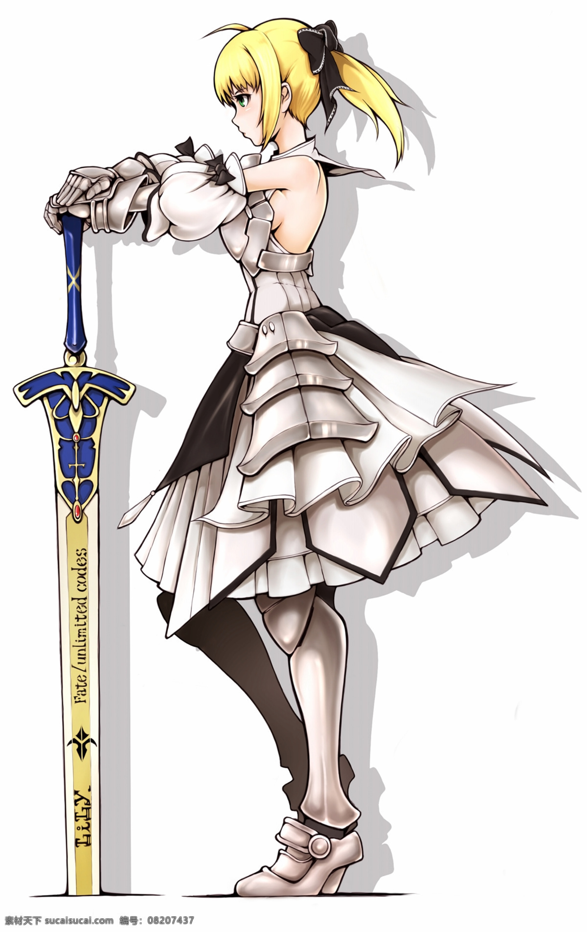 fate 吾王 动漫 卡通 美少女 sebar 情侣 动漫人物 动漫动画