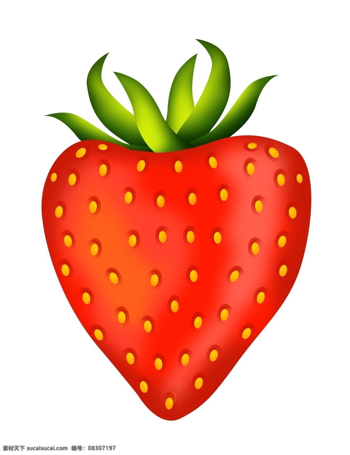仿真 红色 草莓 插画 手绘仿真草莓 红色草莓插画 美食 食物 美味的水果 手绘水果 手绘草莓