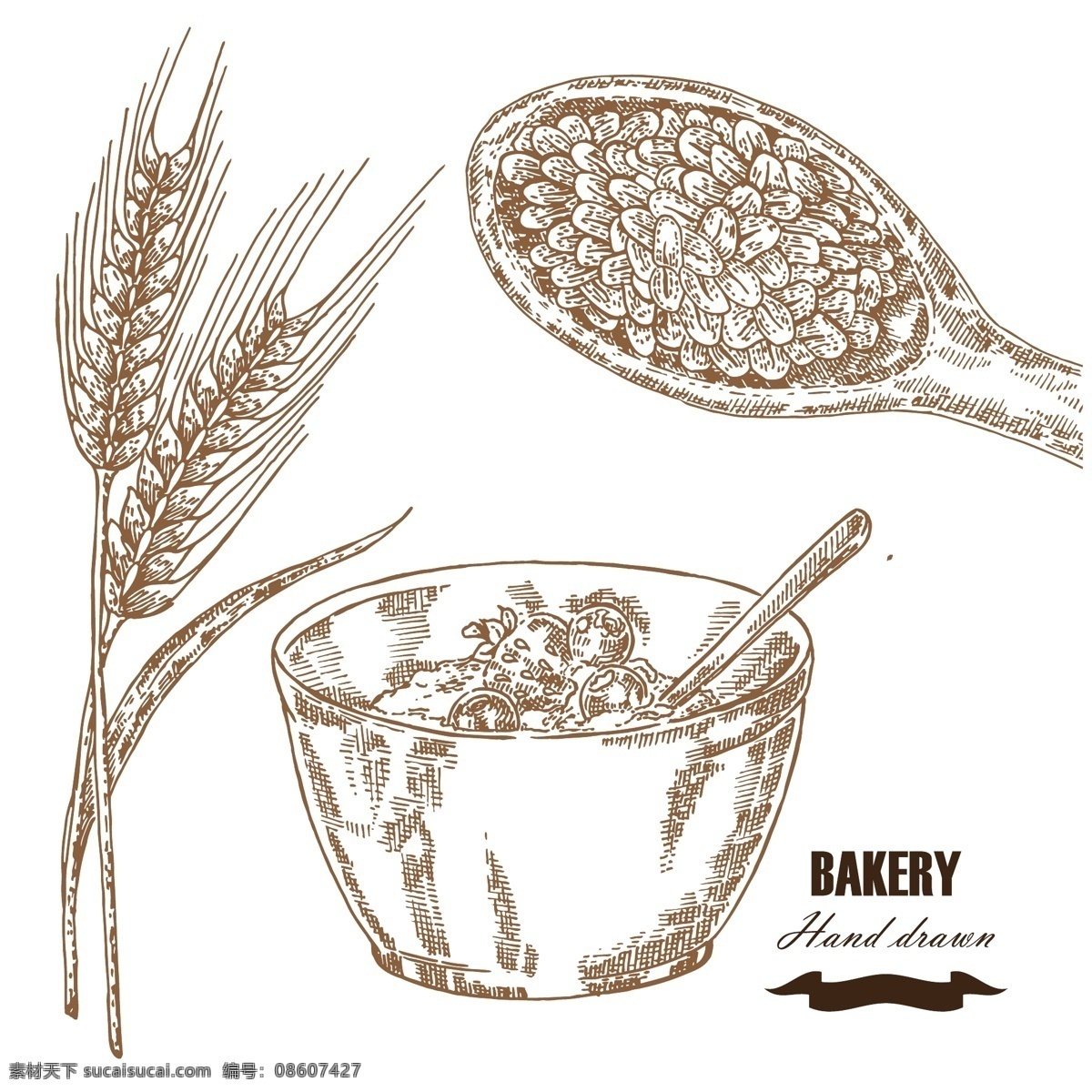 小麦 麦片 插画 麦穗 麦子 美食插画 卡通美食漫画 食物 美味 餐饮 美食 生活百科 矢量素材 文化艺术