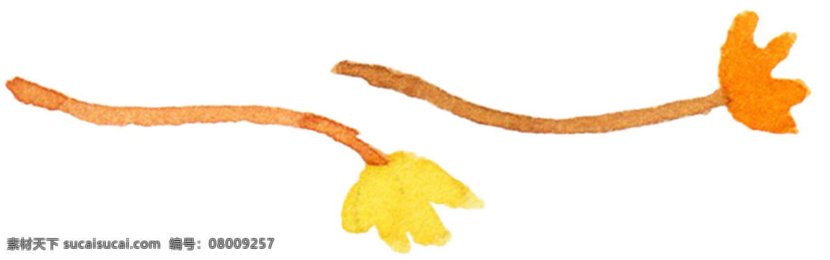 橘黄 双色 花枝 花卉 高清图 红色