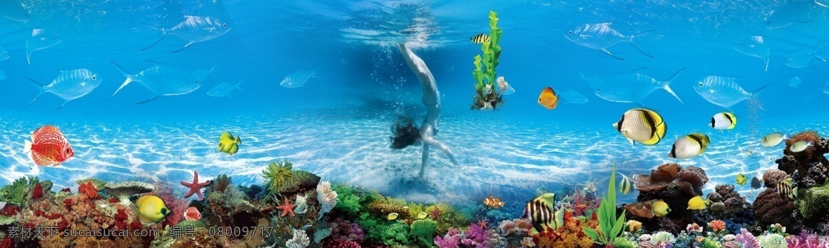 海底世界 海底 海底背景 新鲜鱼 鱼 海底鱼 虾 鱼缸 活鱼 热带鱼 水族馆 水族馆背景 观赏热带鱼 水族箱 水族箱背景 观赏鱼 淡水鱼 珊瑚 海星 贝壳 螃蟹 乌龟 鱼群 水母 珍珠等 分层 源文件