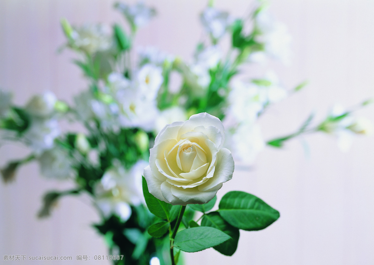 花艺 摆设 花 花卉 鲜花 花艺摆设
