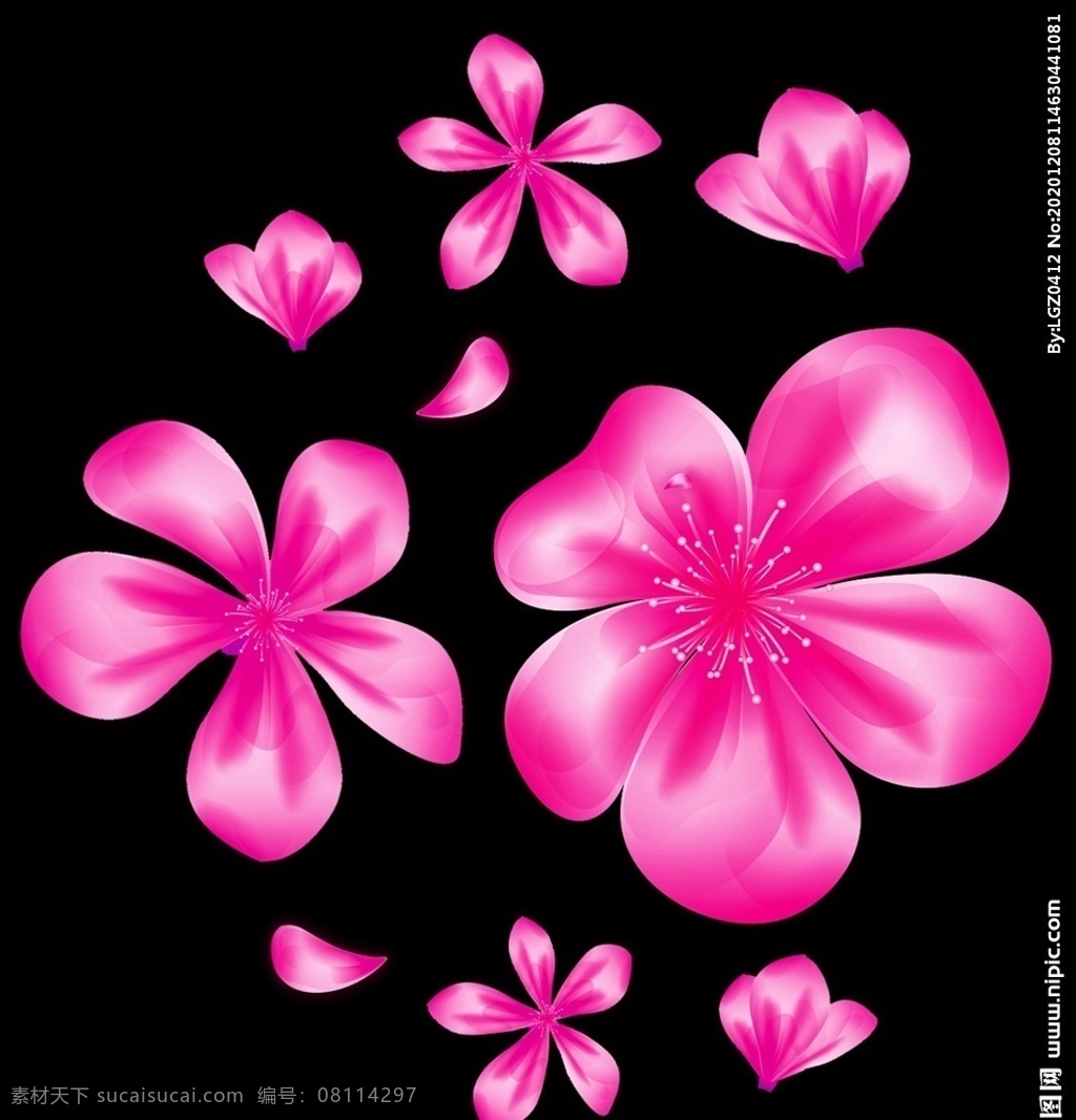 花 花瓣 花朵图片 花朵 粉色花 花图案