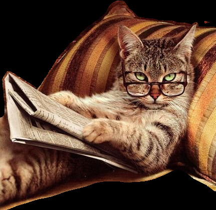 看书 眼镜 猫 图案 卡通动物 看报纸的猫 可爱 猫咪设计图 实物猫咪 学习猫 眼镜猫 装饰元素