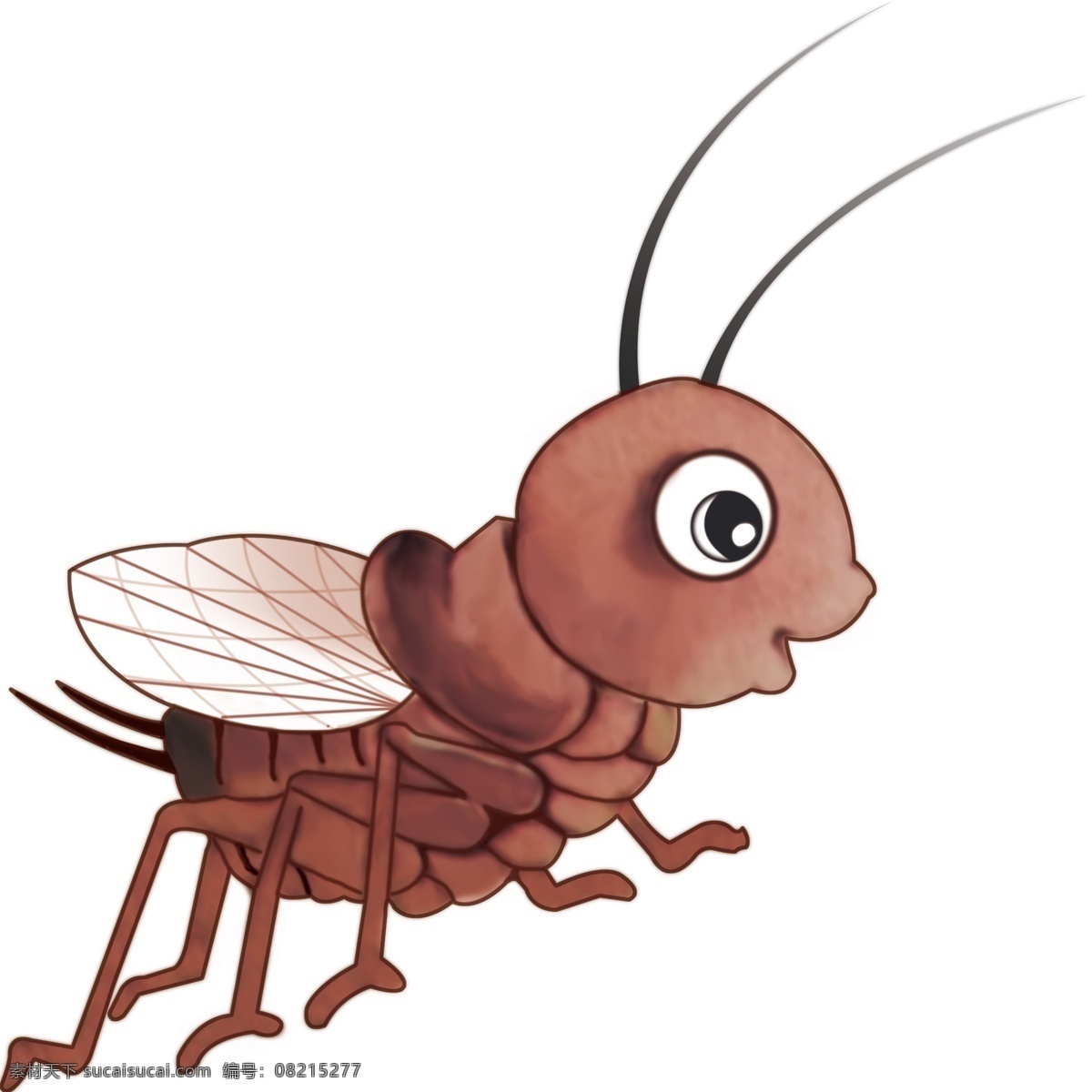 蛐蛐 虫子 昆虫 一年级教具 课本插图 生物世界