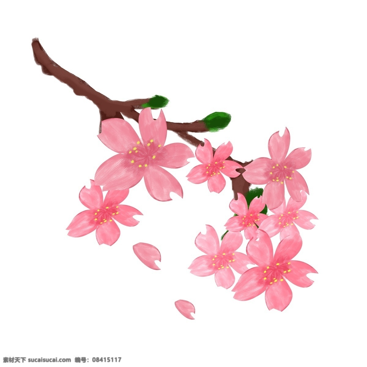 满 树 樱花 樱花树 花瓣 粉色花瓣 粉色植物 花卉 分层 免抠 飘落的樱花 樱花枝