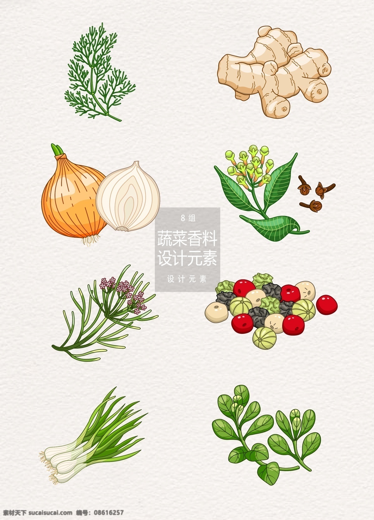 手绘 蔬菜 香料 矢量 元素 洋葱 生姜 姜 手绘蔬菜 葱