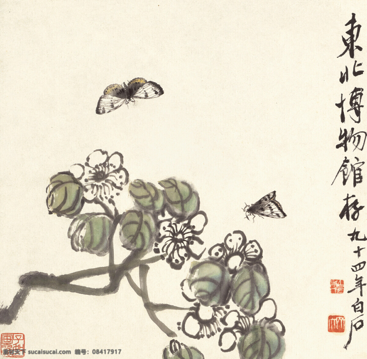 齐白石 花卉 册页 昆虫 蝴蝶 绘画书法 文化艺术 白色
