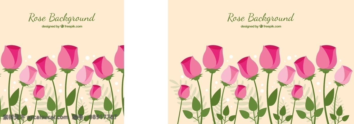 扁平 风格 粉红色 玫瑰 花朵 背景 扁平风格 粉红色的 玫瑰花朵
