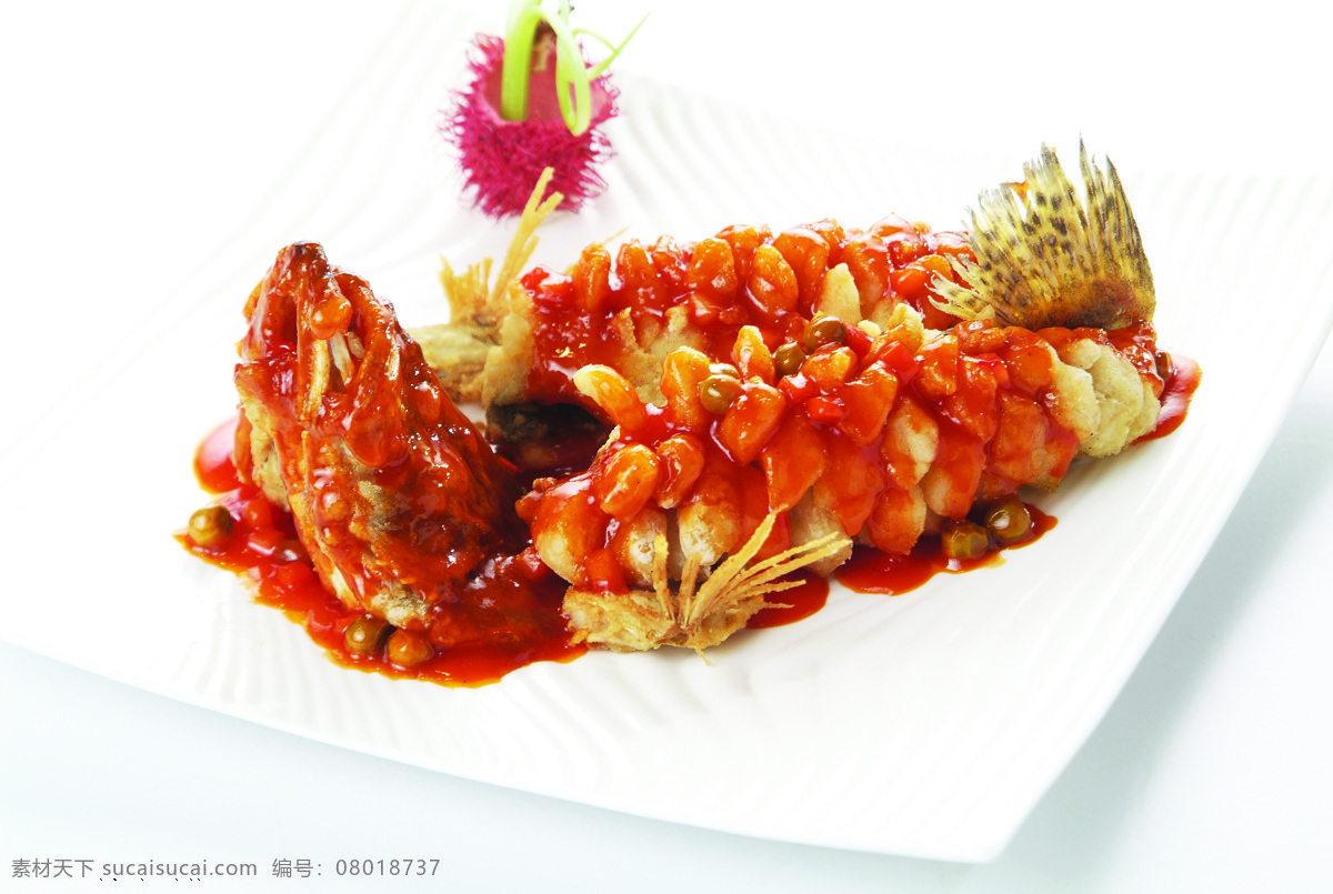 松鼠桂鱼鱼 鱼 桂鱼 松鼠鱼 糖醋鱼 菊花鱼 松鼠桂鱼 脆皮鱼 浇汁鱼 松鼠鲈鱼 糖醋桂鱼 糖醋鲤鱼 松鼠鳜鱼 松仔桂鱼 鲈鱼松仁 美食摄影 餐饮美食 传统美食